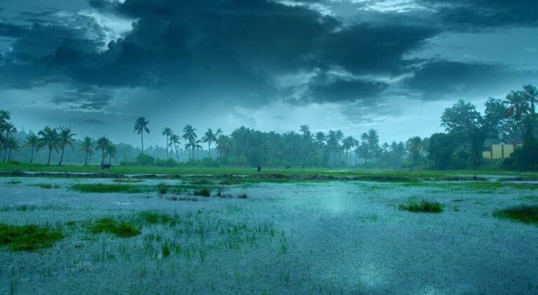 ഇടവേളക്ക് ശേഷം കേരളത്തിൽ വീണ്ടും മഴ ശക്തമാകുന്നു, 2 ജില്ലകളിൽ ഓറഞ്ച് അലേർട്ട്